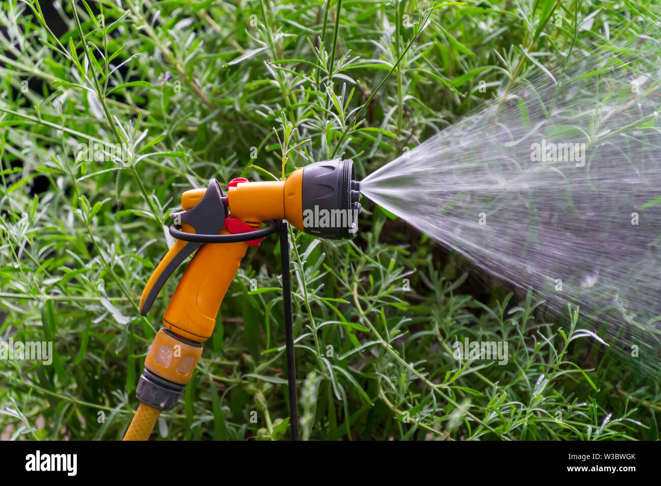 Giardino portatile automatico tubo di plastica di un sistema di irrigazione con una doccia montata la testa di spruzzo del prato di irrigazione. Foto Stock