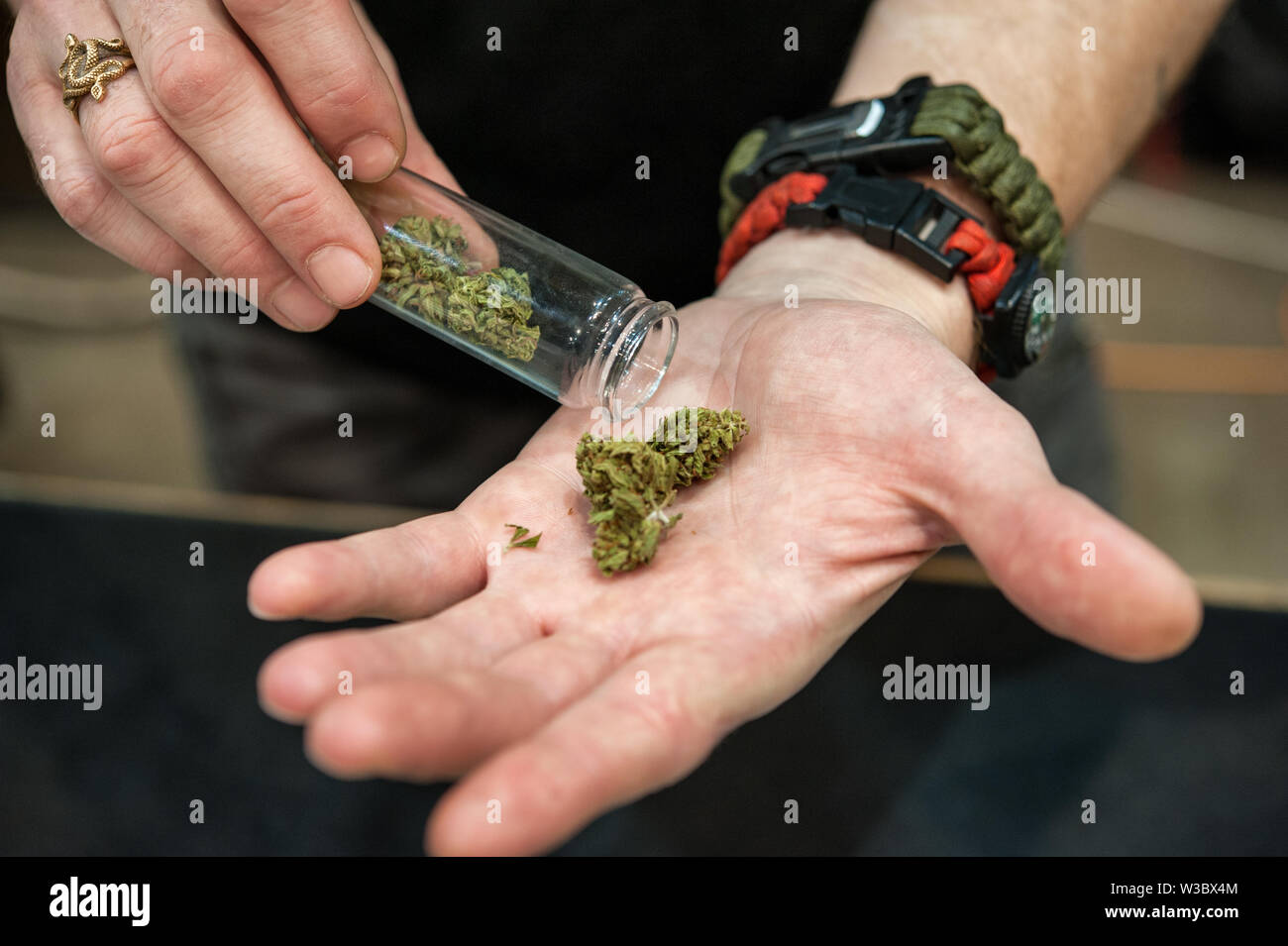 Manciata di luce la Cannabis sativa (close up) Foto Stock