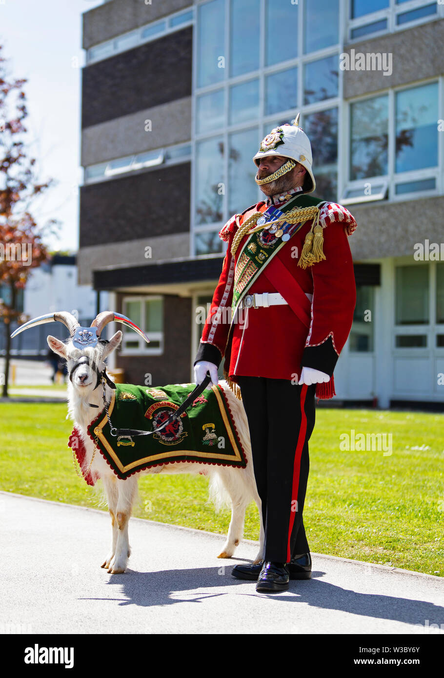 Fotografia di © Jamie Callister. Principali di capra di Jackson e Fusilier Shenkin IV di rendere uno speciale aspetto per la scheda Qioptiq visita 14 Maggio 2019 Foto Stock
