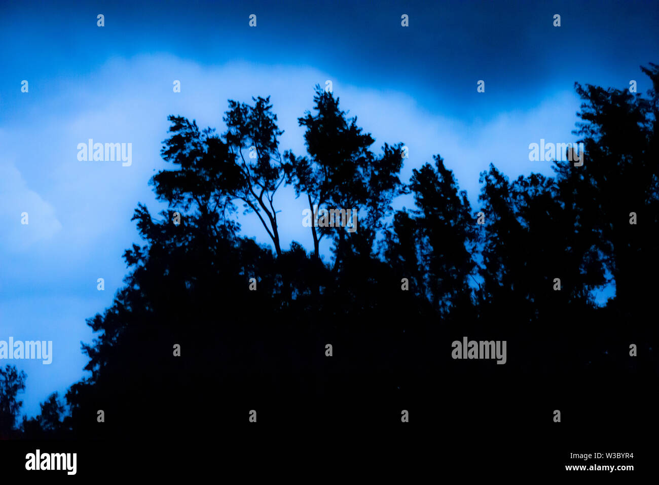 Earie cieli notturni delineano la treeline in una fattoria vicino a Sudlersville, Maryland Foto Stock