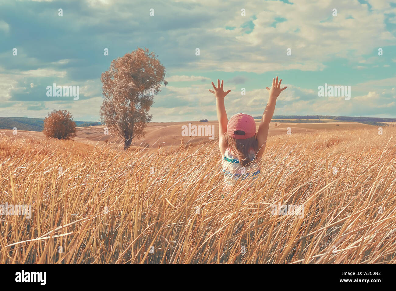 Bambina con le braccia aperte in campo. Vista posteriore della bambina si erge nel campo, vista dal retro. Foto Stock