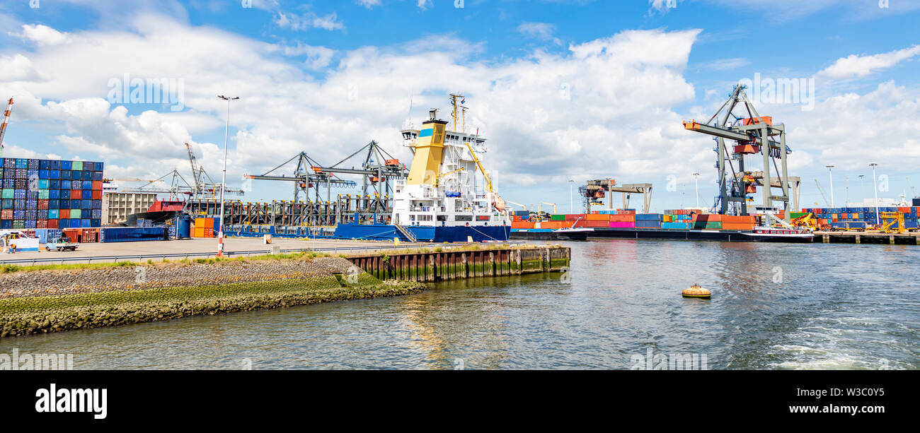 Logistica panorama aziendale. Enormi gru a ponte e contenitori impilati, porto internazionale di Rotterdam Paesi Bassi, soleggiata giornata estiva, banner Foto Stock