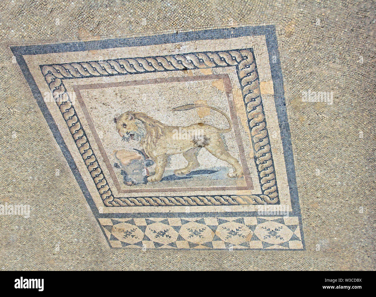 Resti archeologici all'interno di una casa residenziale in Efeso in Turchia Foto Stock