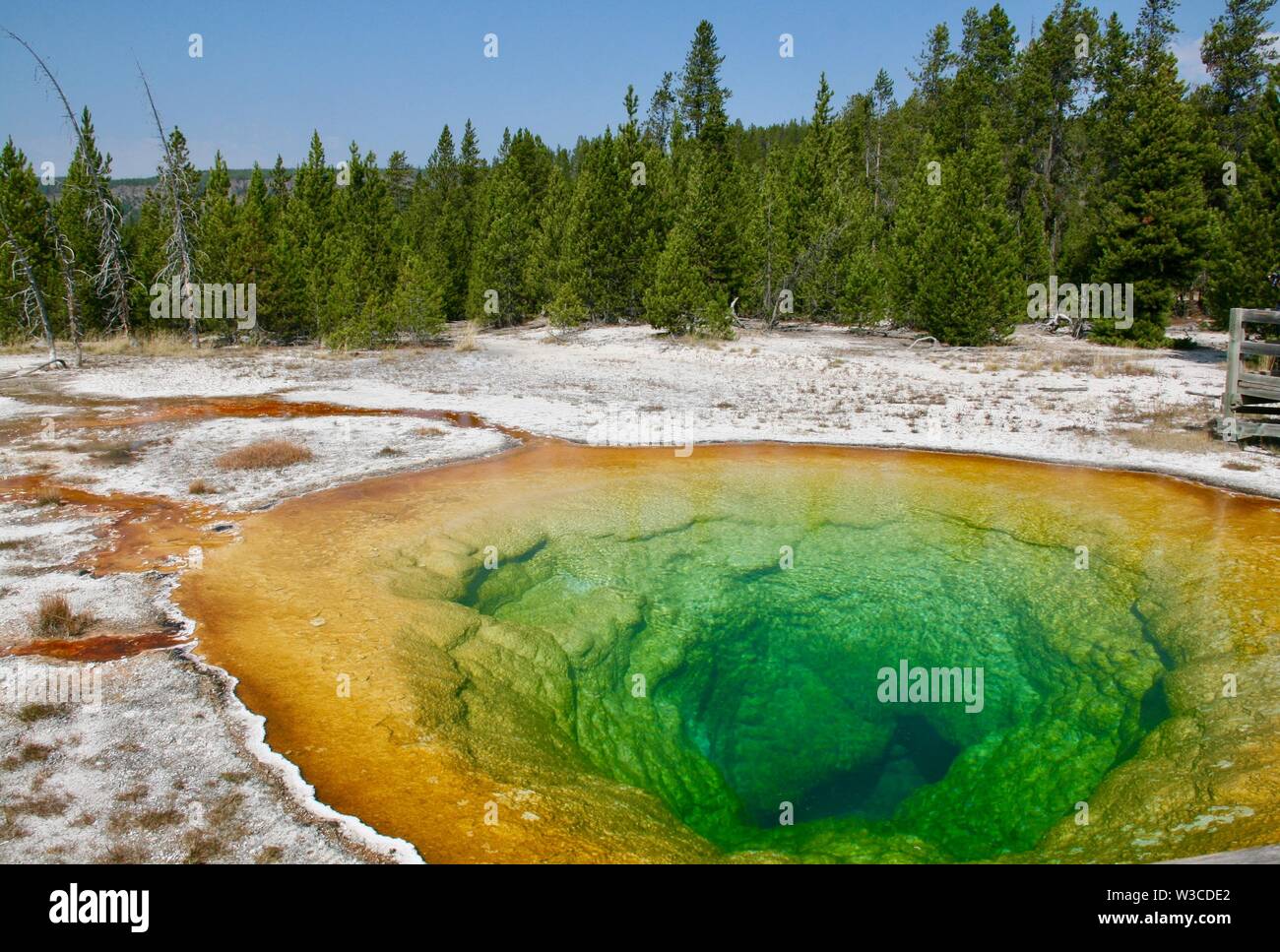 Gloria di mattina in piscina nel parco nazionale di Yellowstone Foto Stock