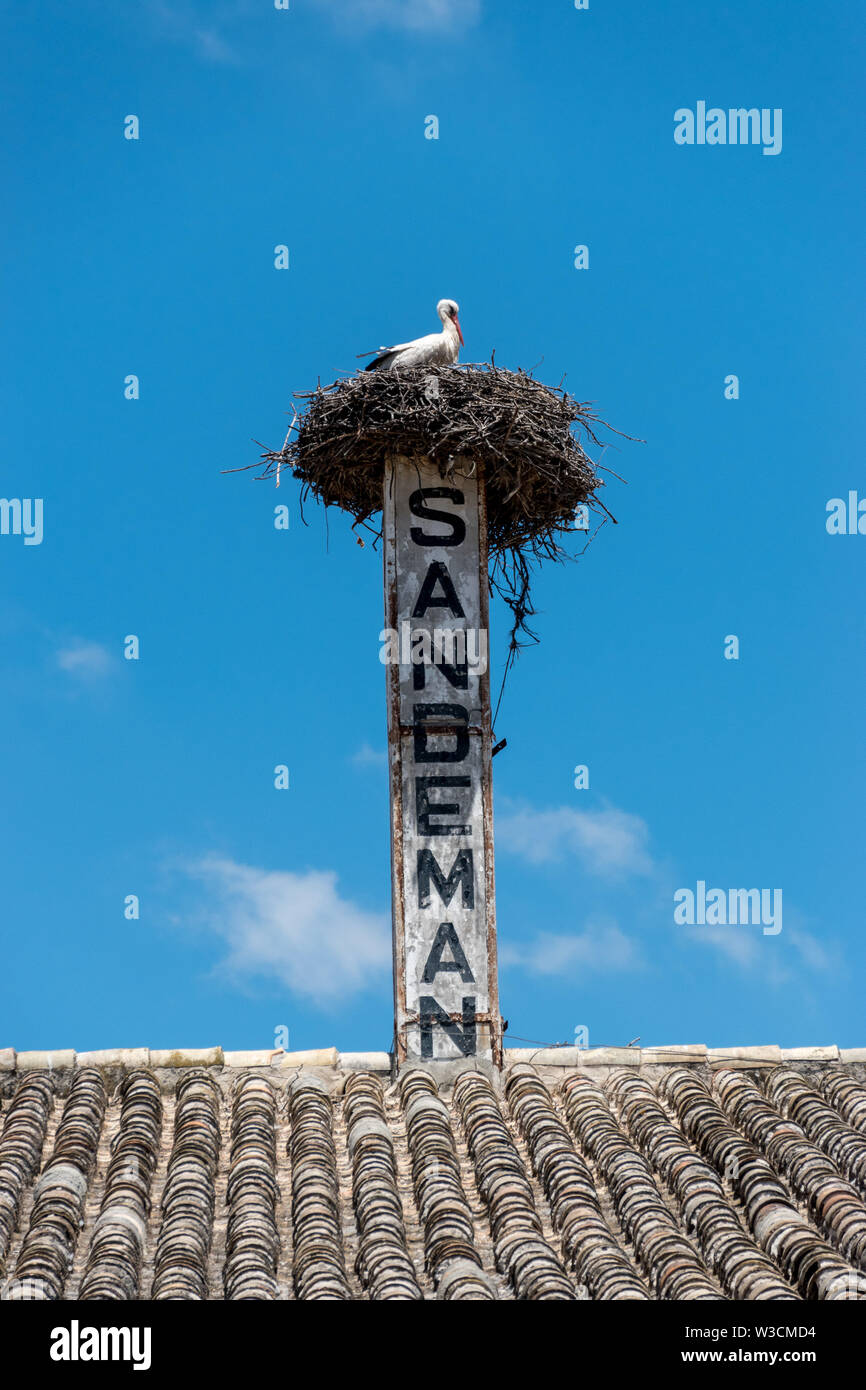 La casa di Sandeman il Centro Visitatori logo in Jerez de la Frontera, Spagna. Il luogo offre la possibilità di visite guidate e degustazioni di Jerez del vino sherry. Foto Stock