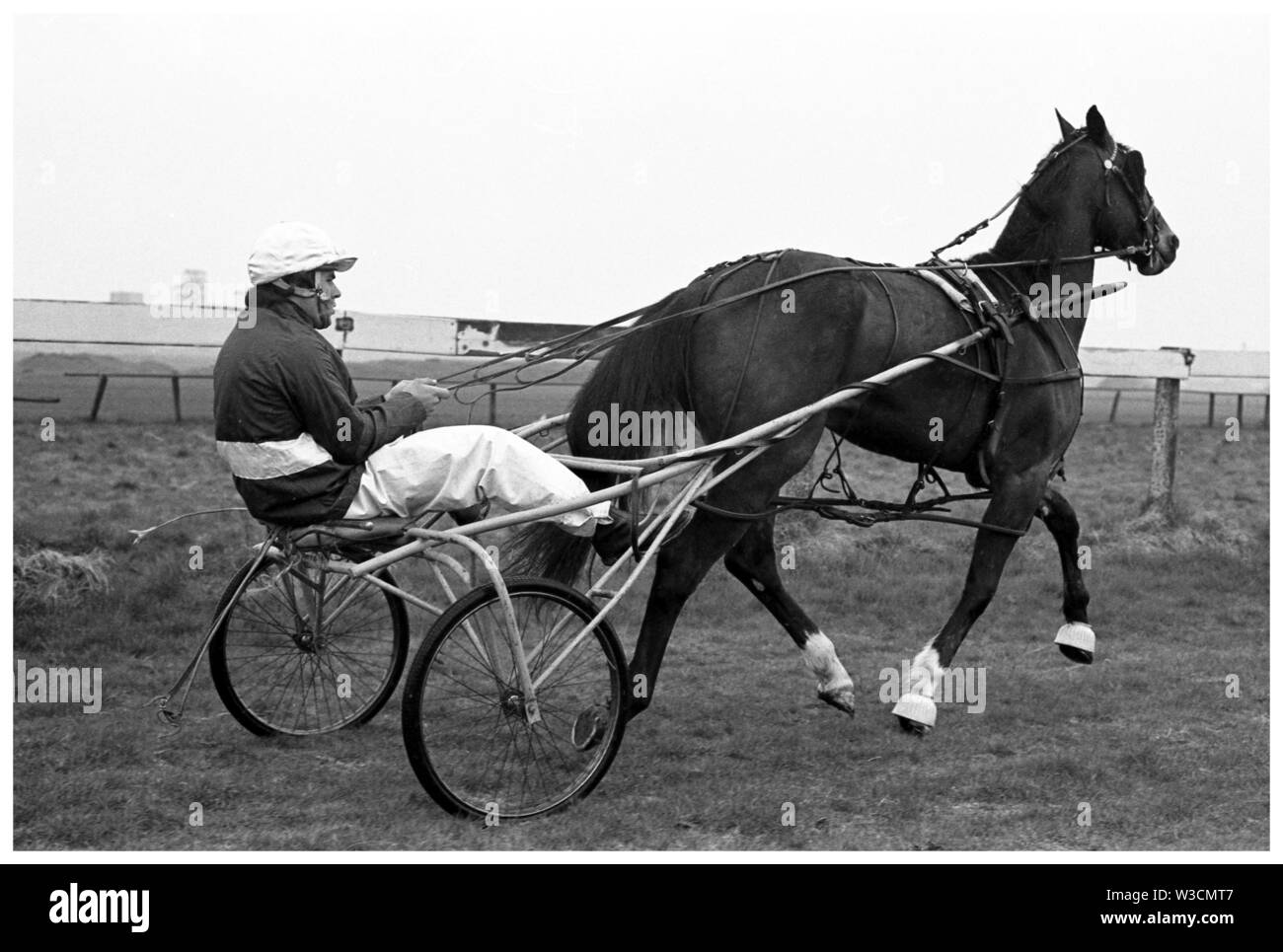 Tommy equitazione Marshall Hannover modo. Cablaggio (corse al trotto) all Ippodromo di Bogside, Irvine 1973. Foto Stock