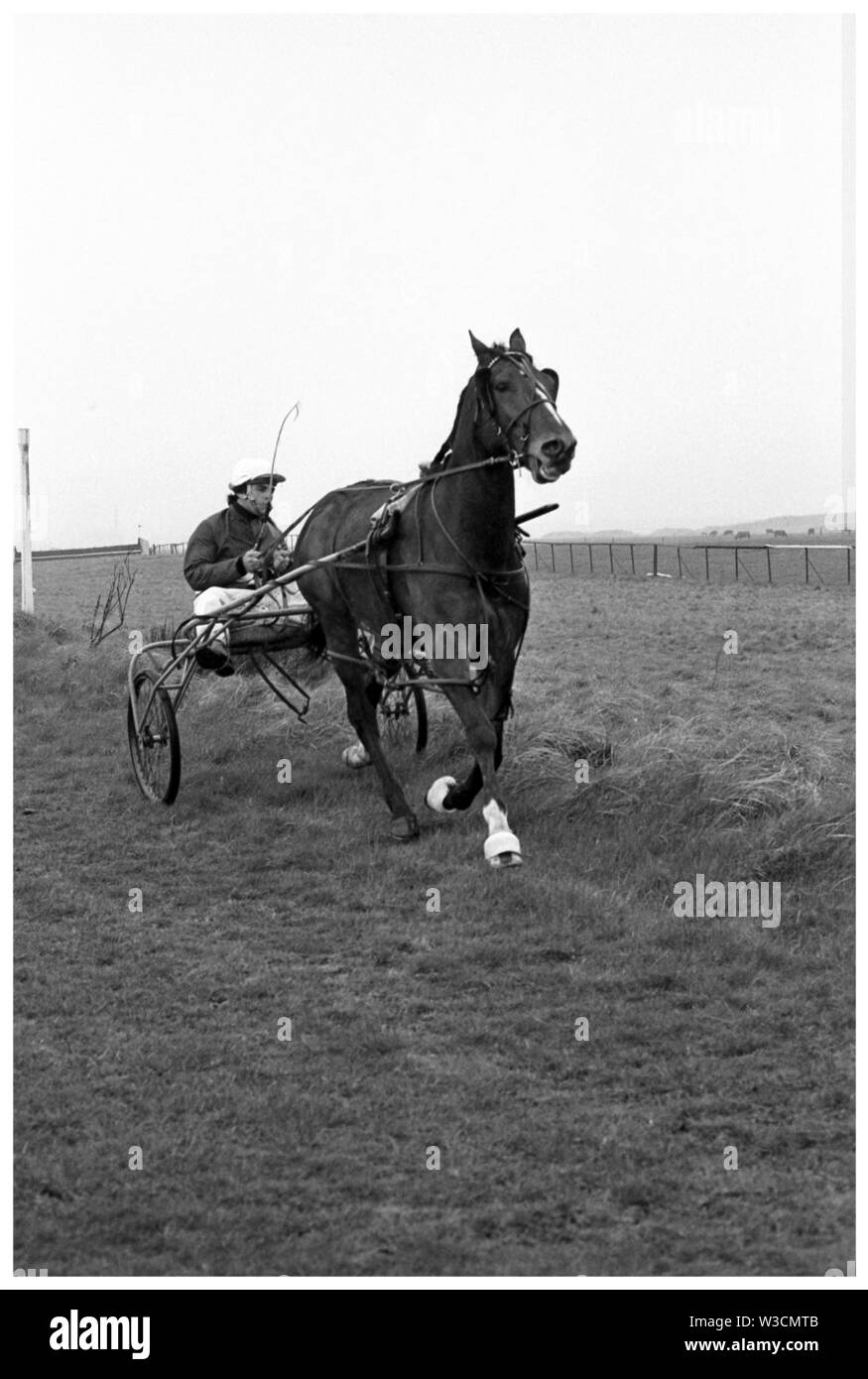 Tommy equitazione Marshall Hannover modo. Cablaggio (corse al trotto) all Ippodromo di Bogside, Irvine 1973. Foto Stock