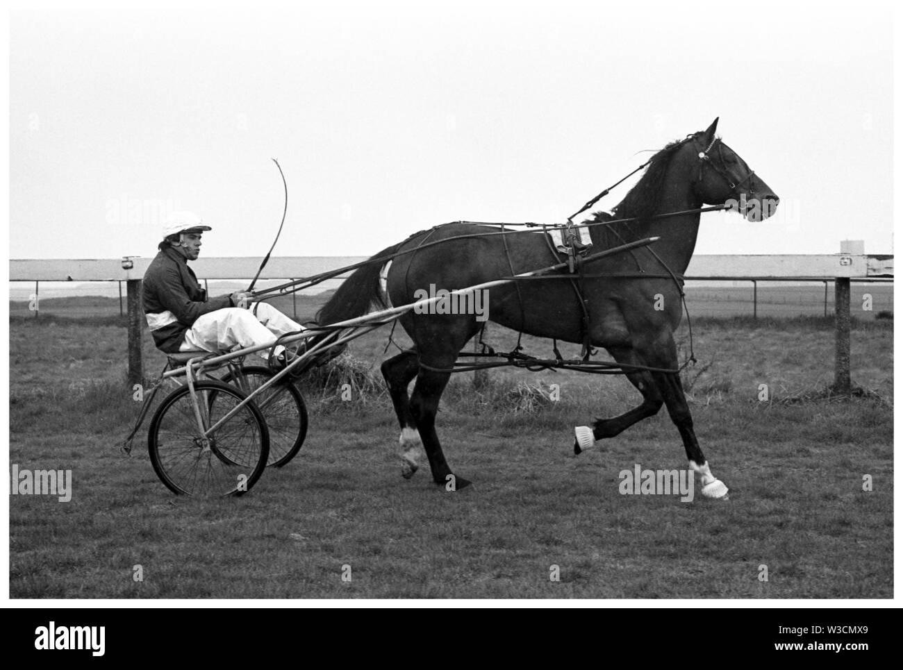 Tommy equitazione Marshall Hannover modo. Cablaggio (corse al trotto) all Ippodromo di Bogside, Irvine 1973. Foto Stock