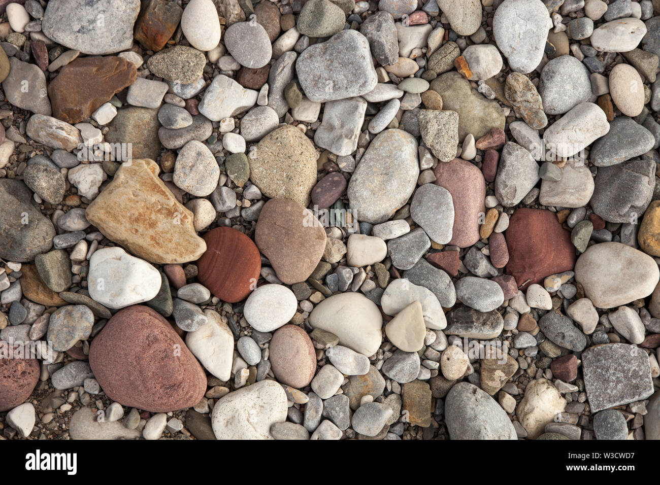 Multicolore, flusso arrotondati sassi, ciottoli e sabbia Foto Stock