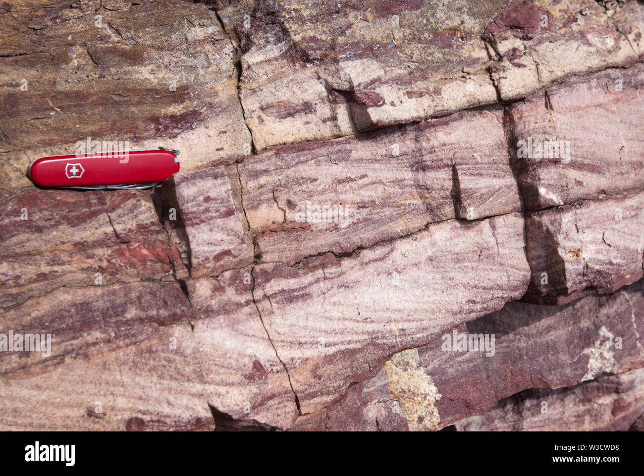 Cross-bedded Precambrian pietra arenaria (quarzite) della formazione Grinnell, parte del supergruppo della cinghia nel nord del Montana (USA). Foto Stock