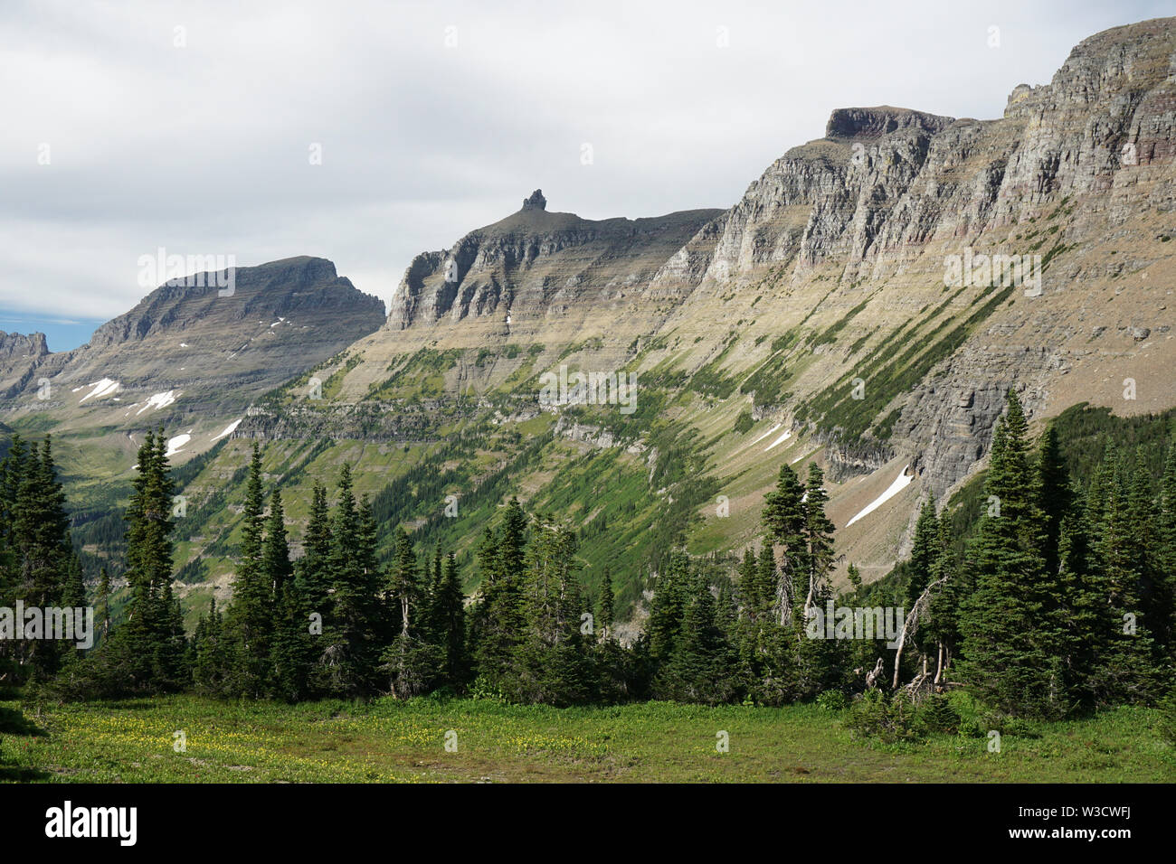 Il muro del giardino, una arete glaciale nel Parco Nazionale di Glacier, Montana. La roccia è parte della roccia sedimentaria Proterozoic supergruppo della cinghia. Foto Stock