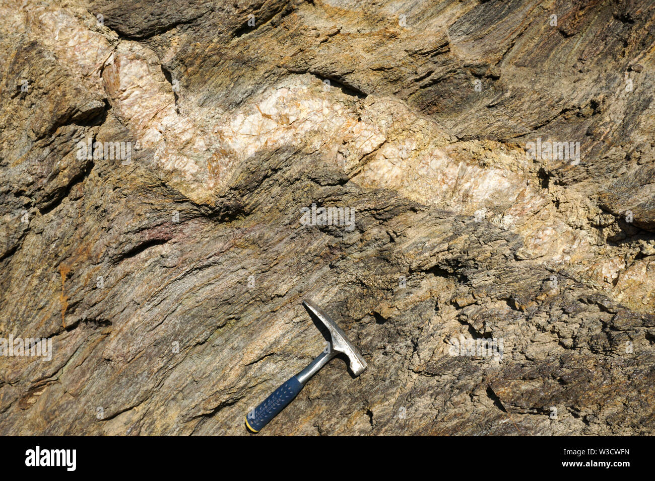 Dicco di pegmatite di taglio seminterrato Precambrian scisto, Montana. Martello di roccia per la scala. Foto Stock