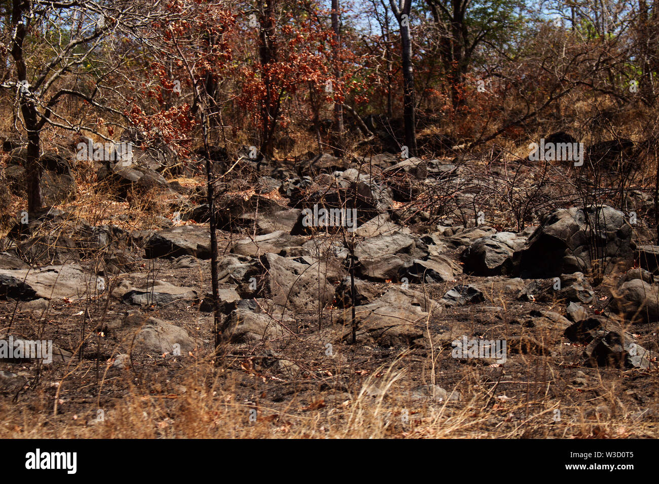 Bruciato montagna roccia perché il calore d'estate Foto Stock