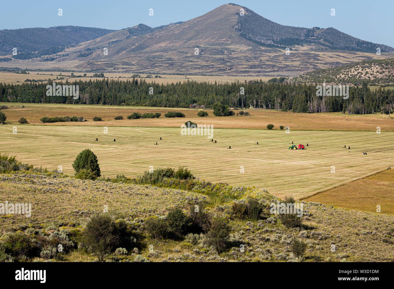 La falciatura di fieno in una valle del Wyoming. Foto Stock