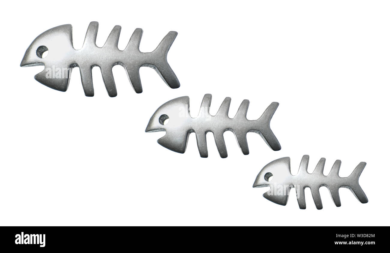 Le ossa di pesce isolato con sfondo bianco Foto Stock