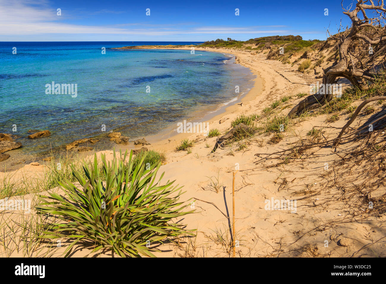 Torre Guaceto Riserva Naturale Unoasi Tra Terra E Mare