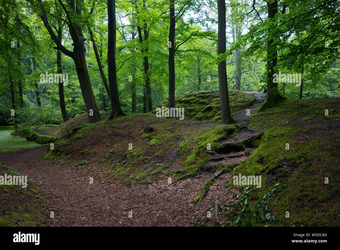 Wassenaar, Olanda - Giugno 16, 2019: Moss colline nel parco dell'Backershagen station wagon Foto Stock