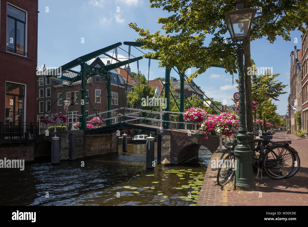 Leiden, Olanda - Luglio 05, 2019: metallo disegnare ponte sopra l'Oude Rijn canal decorato con fiori Foto Stock