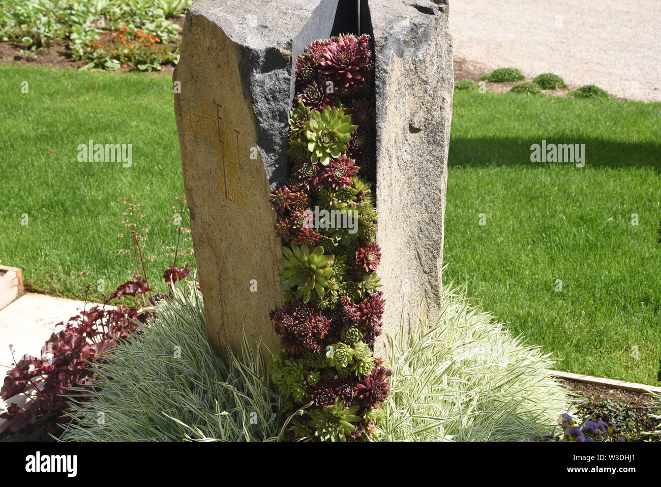 Grabbepflanzung, Hauswurz, Grabgestaltung Foto Stock