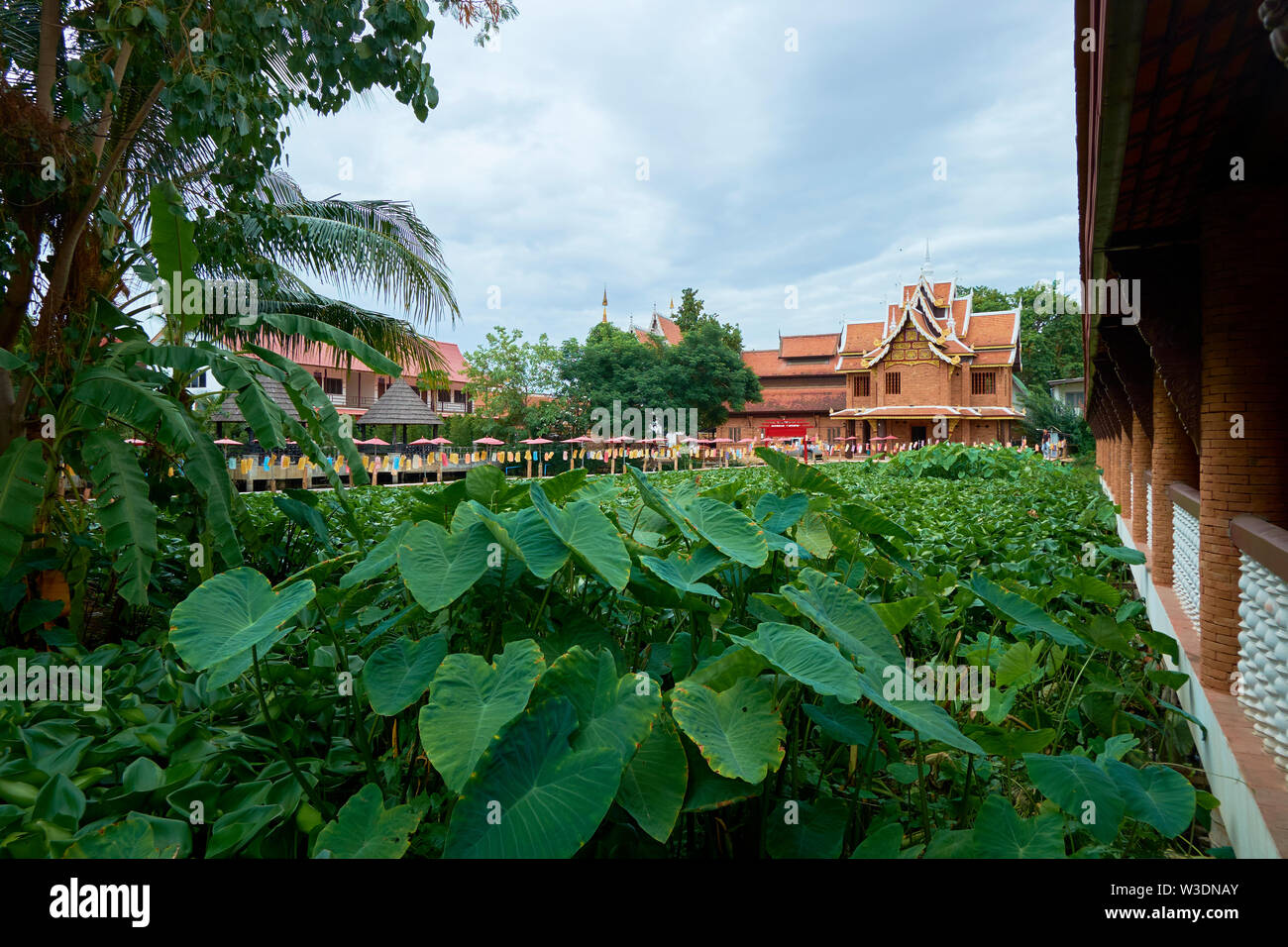La bella lily pad stagno e colorato ponte lanterna di Wat Jet Lin in Chiang Mai, Thailandia. Foto Stock