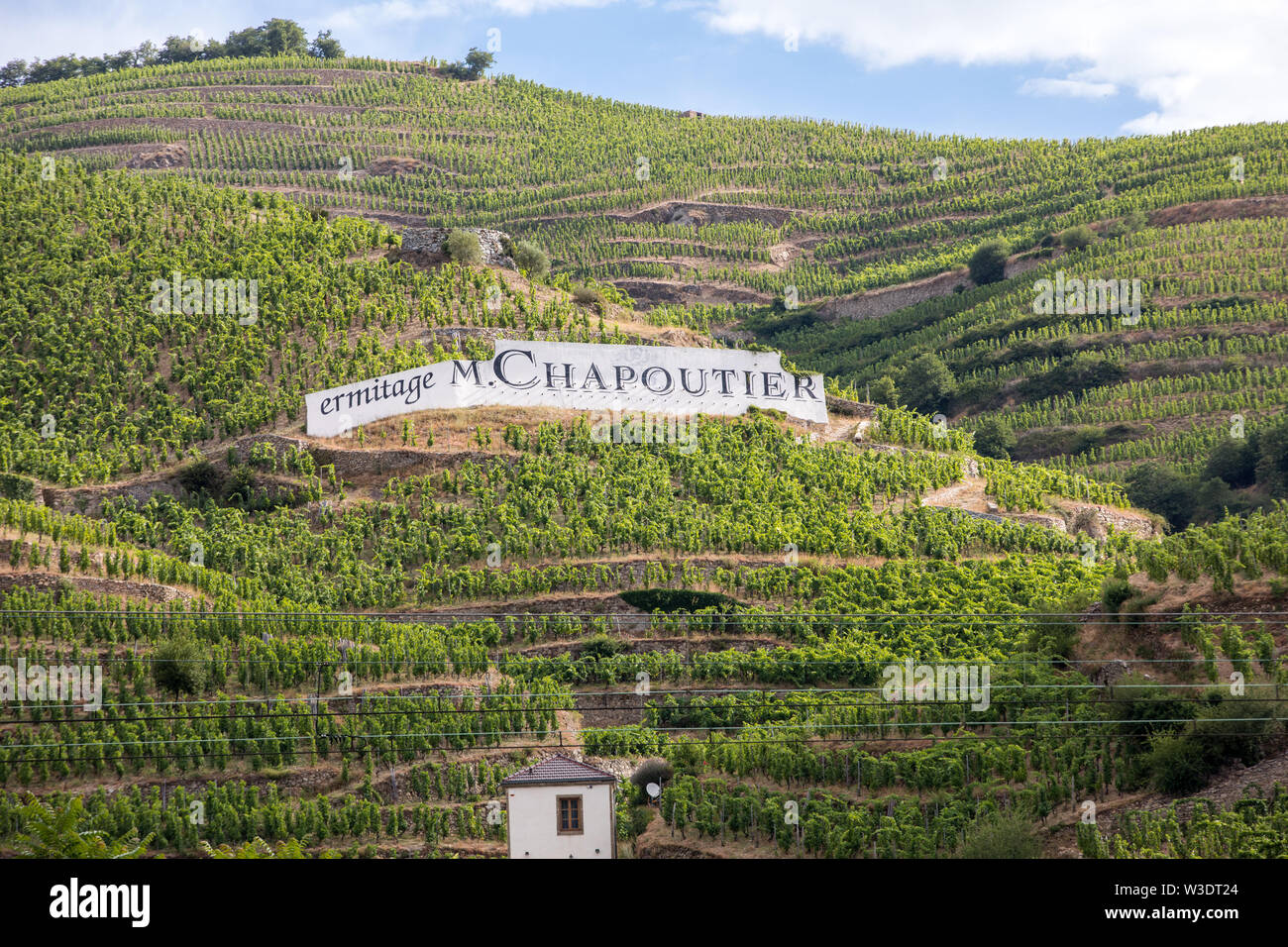Tain l'Hermitage, Francia - 28 Giugno 2017: vista del M. Chapoutier Crozes-Hermitage vigneti a Tain l'Hermitage, la valle del Rodano, Francia Foto Stock