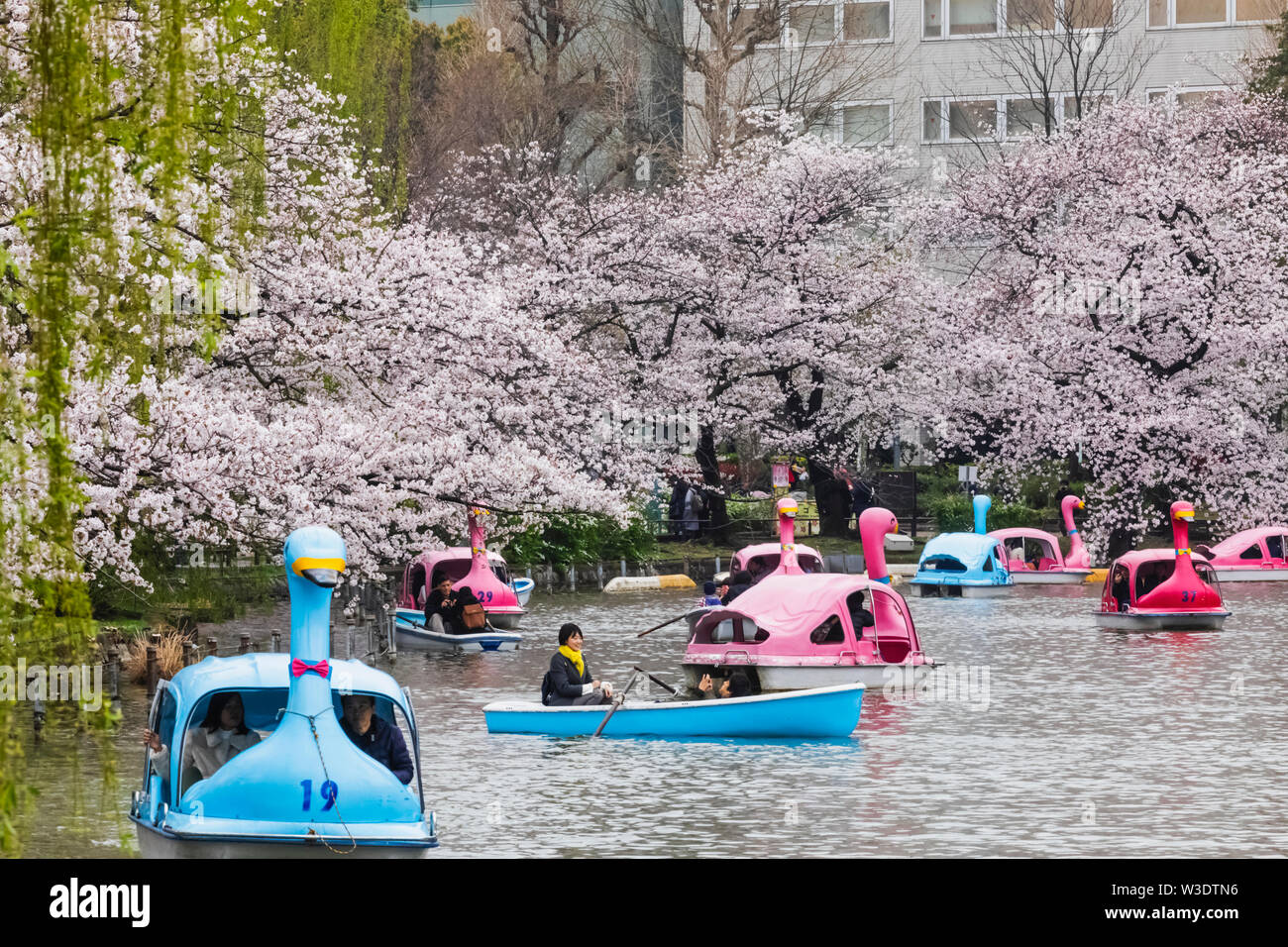 Giappone, Honshu, Tokyo, Ueno, il Parco Ueno Shinobazu Pond, persone in barca Foto Stock