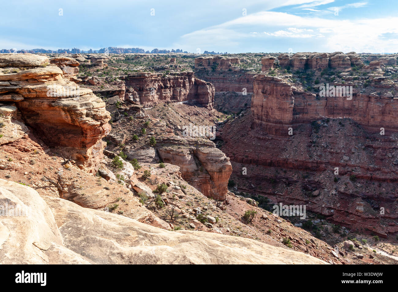 Il paesaggio lungo il Canyon perso Loop Trail. La zona degli aghi, il Parco Nazionale di Canyonlands, Utah. Foto Stock