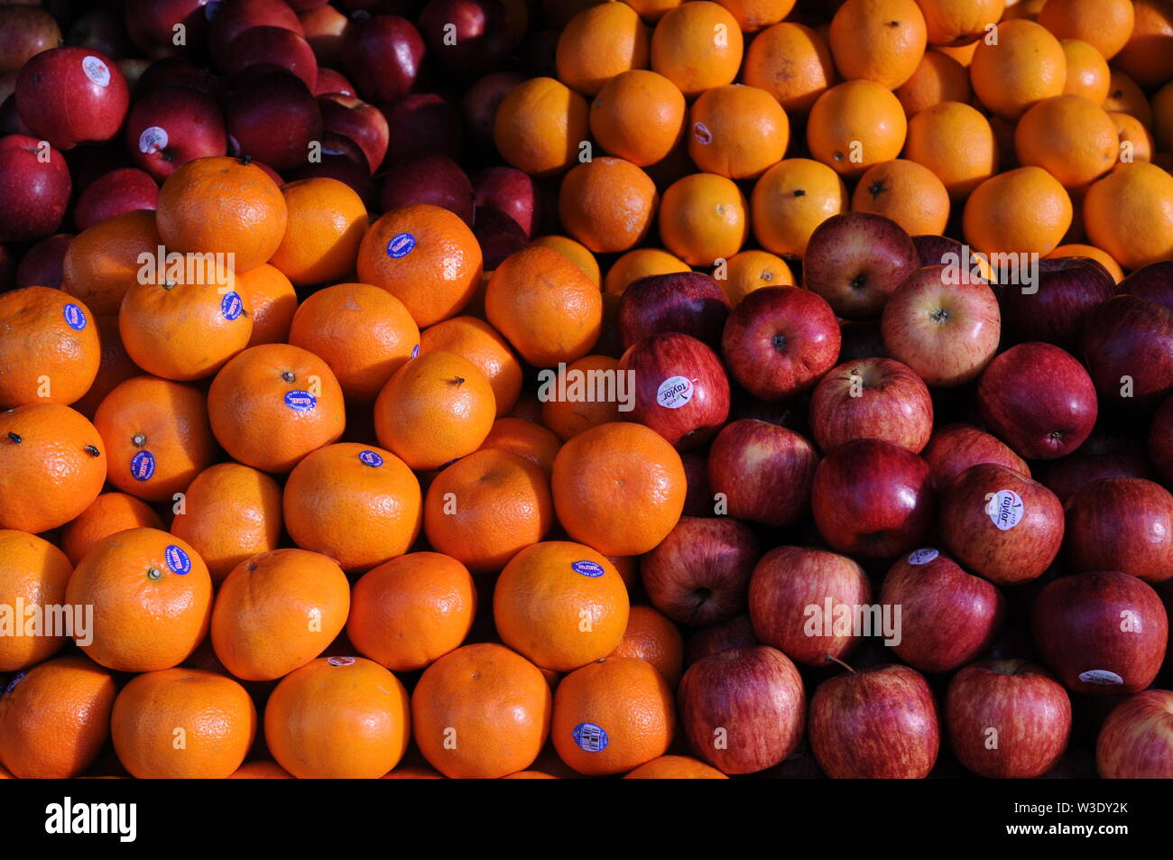 Mele e arance per la vendita a un open air di frutta fresca in stallo il mercato russo, Phnom Penh Cambogia. Credito: Kraig Lieb Foto Stock