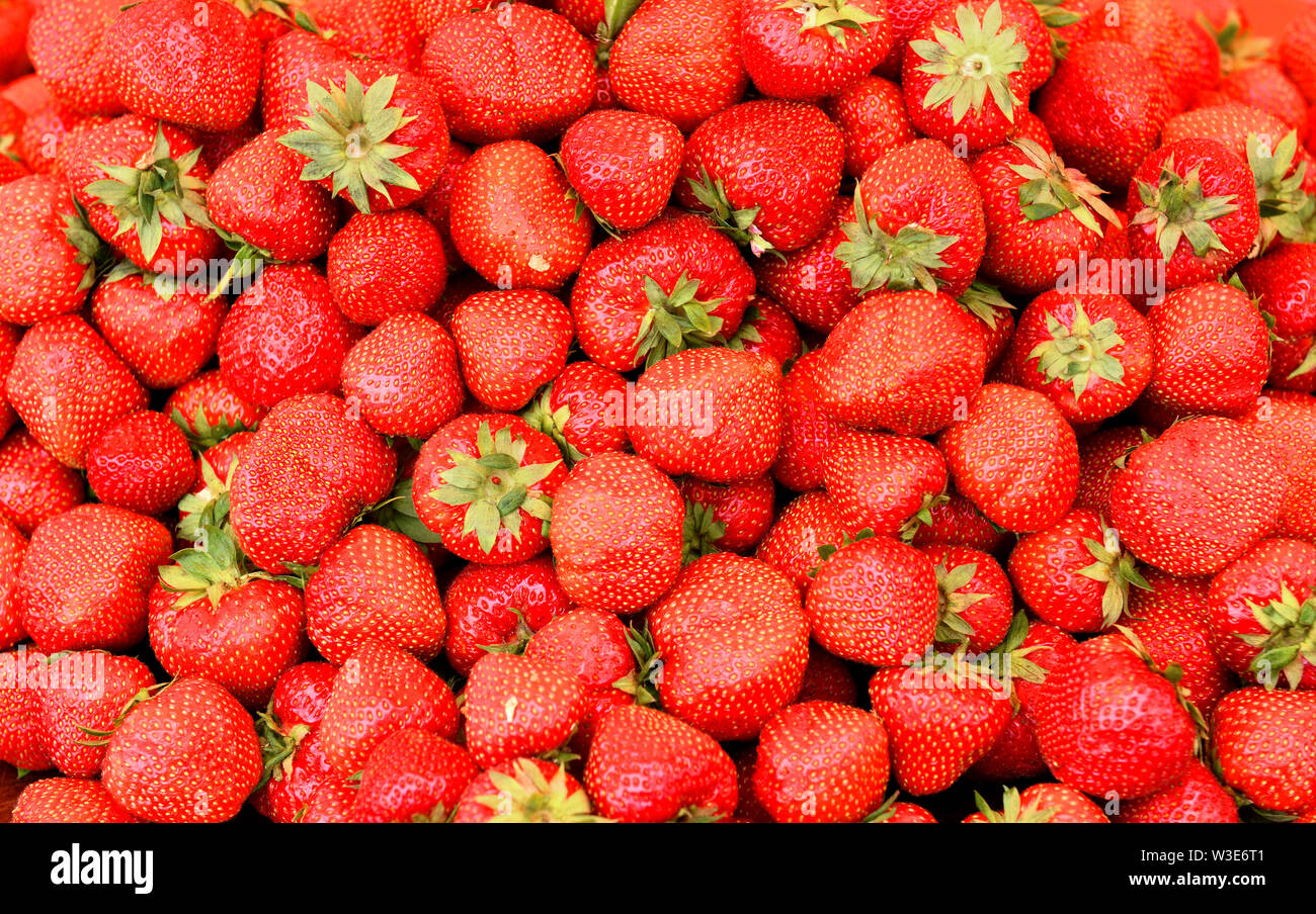 Bellissimo sfondo di fragole mature Foto Stock
