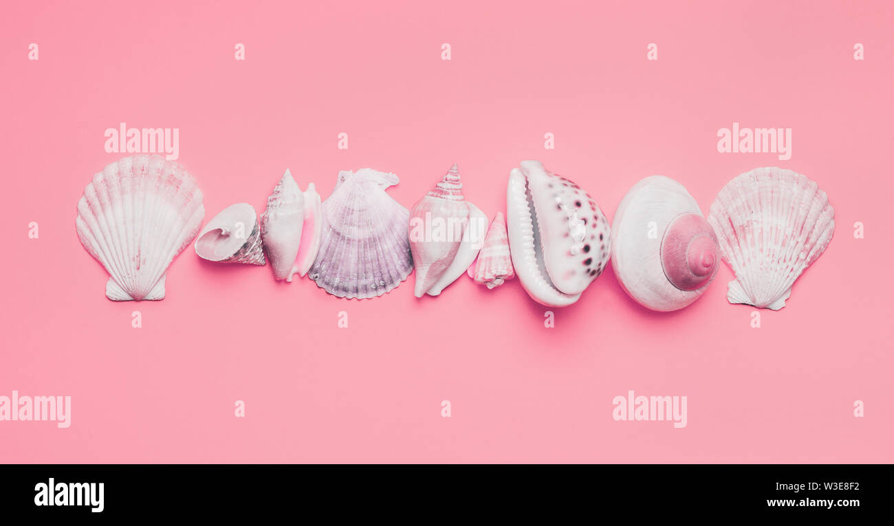 Varietà di conchiglie di mare sul rosa pastello sfondo, vista dall'alto. Layout creativi. Lay piatto. Concetto di estate Foto Stock