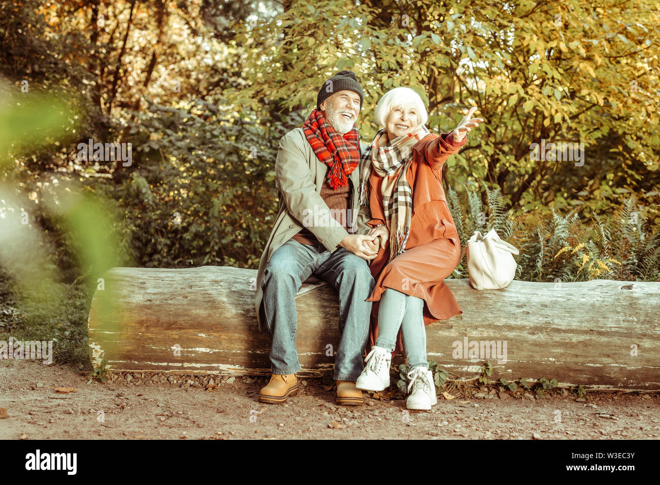 Sorridente coppia senior seduta sul tronco di legno. Foto Stock