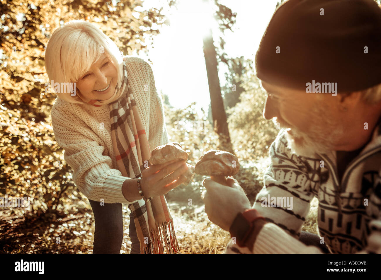 Felice senior donna raccolta funghi con suo marito. Foto Stock