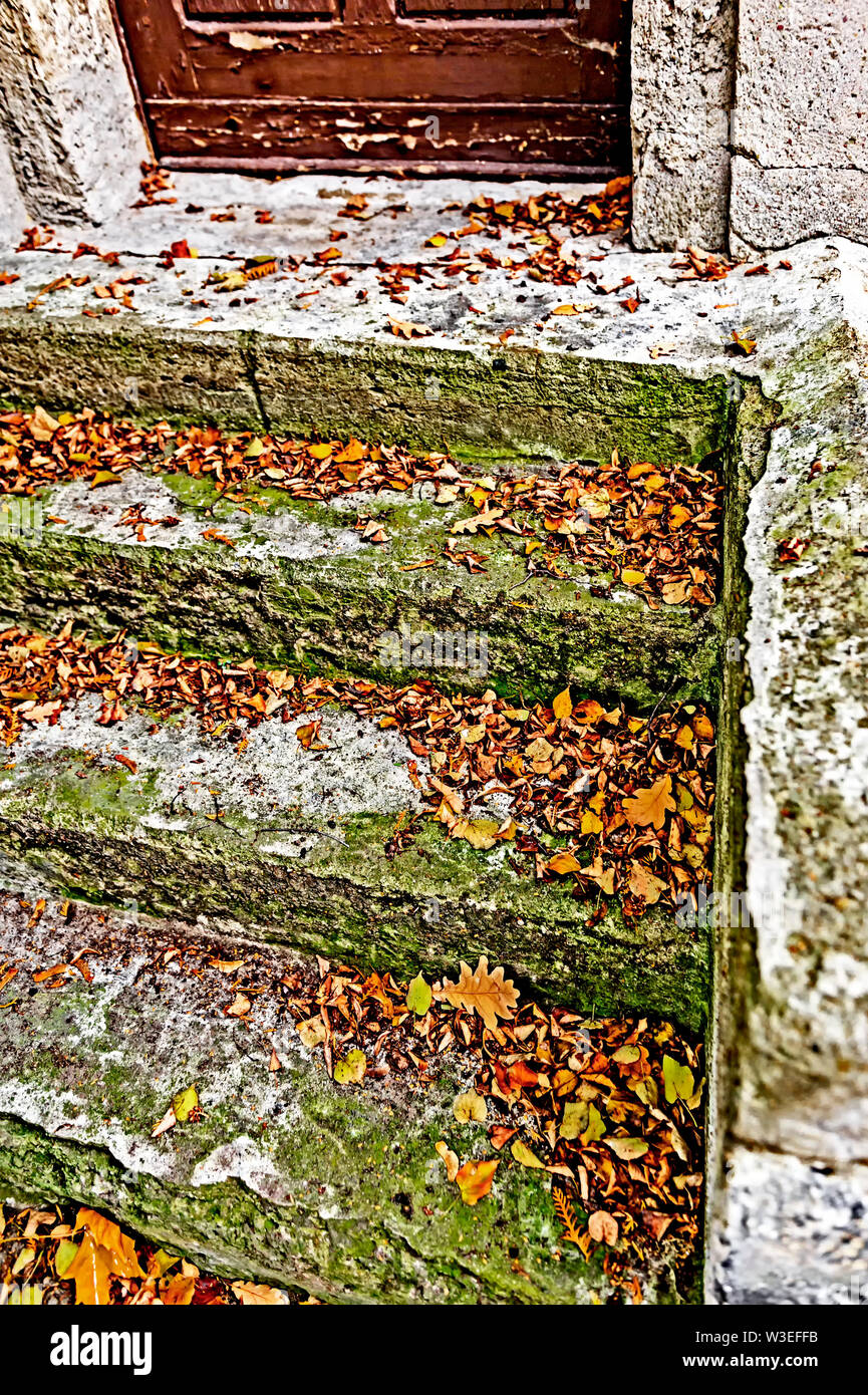 Steintreppe mit Laub im Herbst; scalini in pietra con foglie Foto Stock
