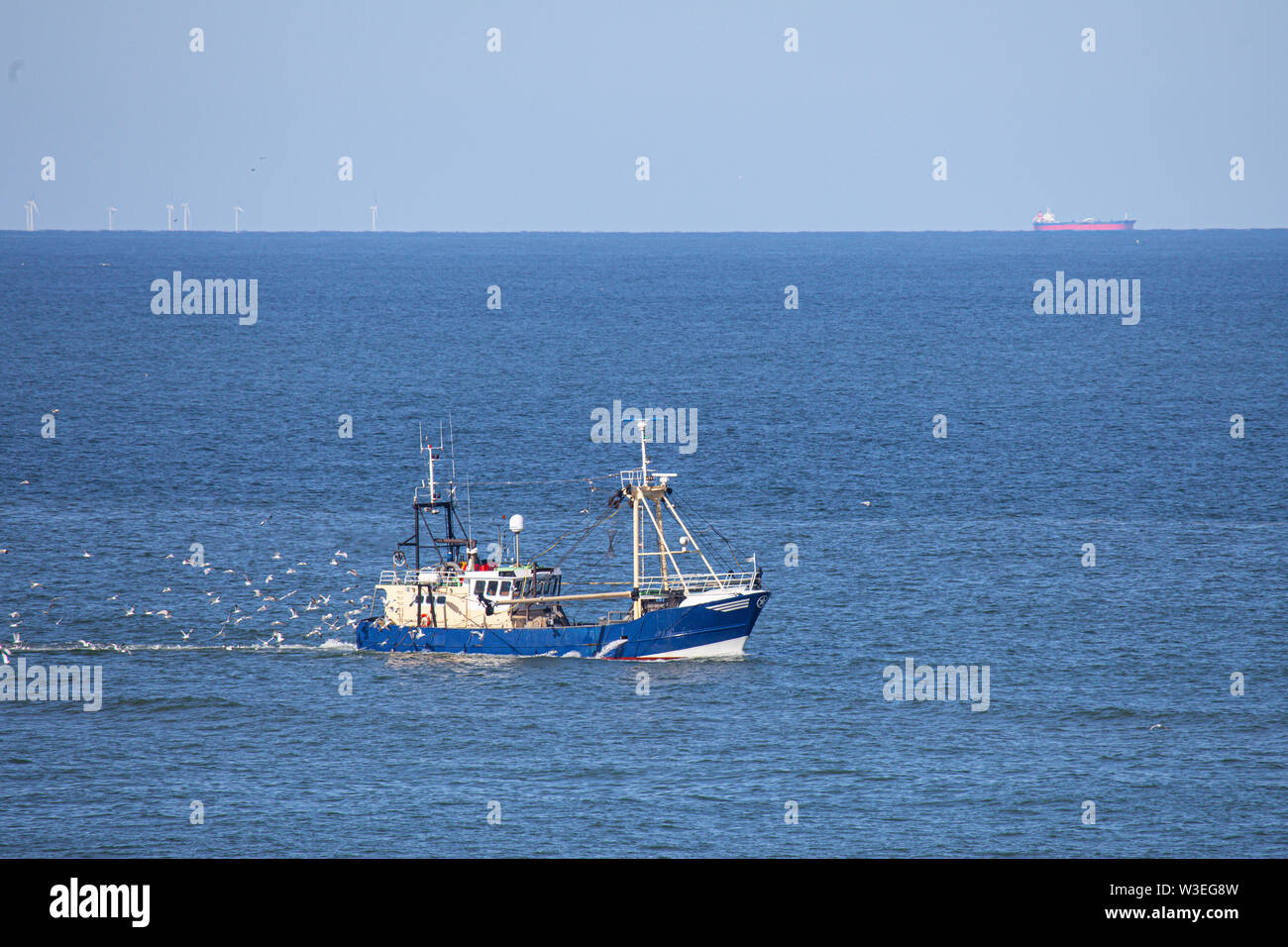 Una taglierina di gamberi del Mare del Nord Foto Stock