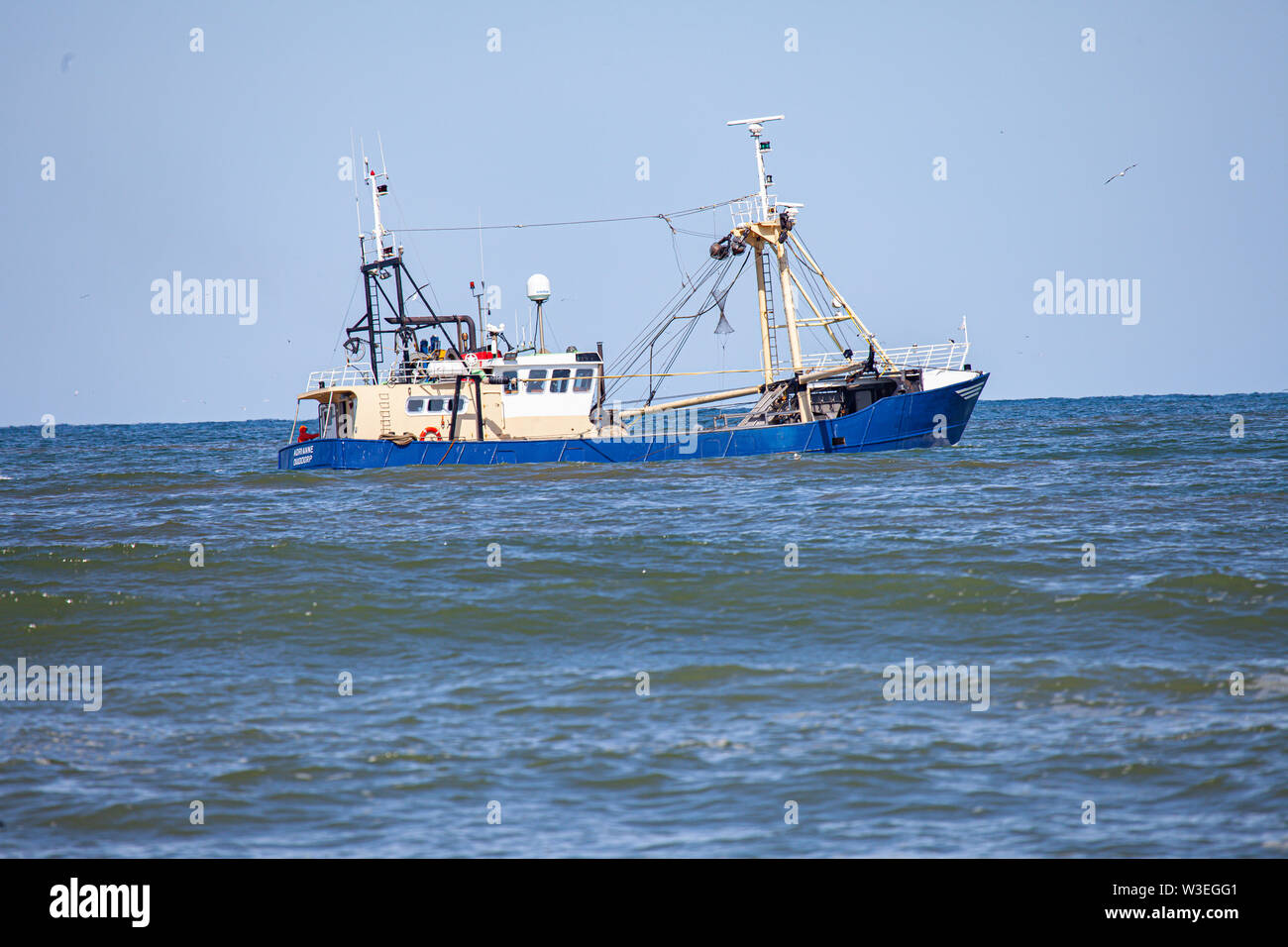 Una taglierina di gamberi del Mare del Nord Foto Stock