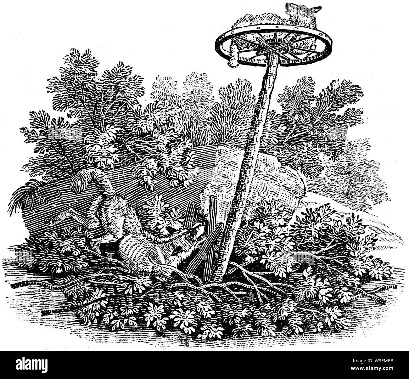 Appendice di pastorale. Taglio di legno intagliato, illustrazione presa da "Bewick Thomas "una storia generale di quadrupedi', pubblicato da T. Bewick, Longman e C Foto Stock