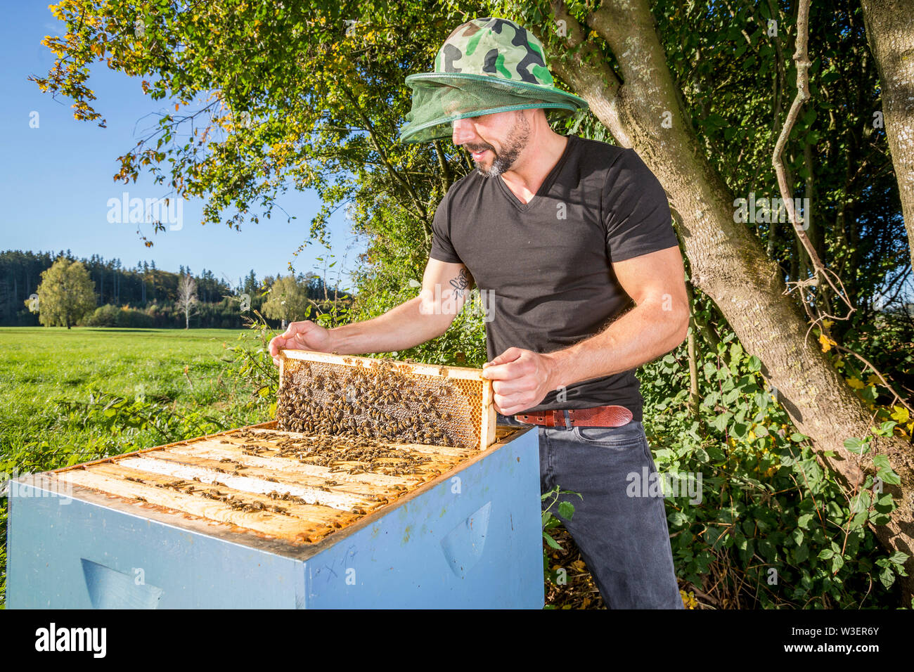 Ritratto di beekeper maschio con alveare Foto Stock