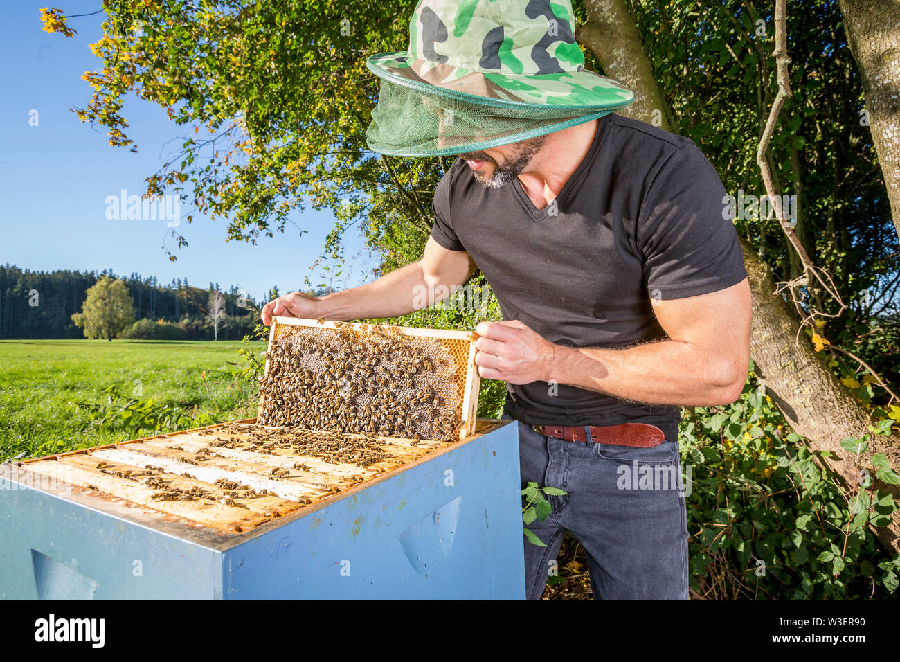 Ritratto di beekeper maschio con alveare Foto Stock