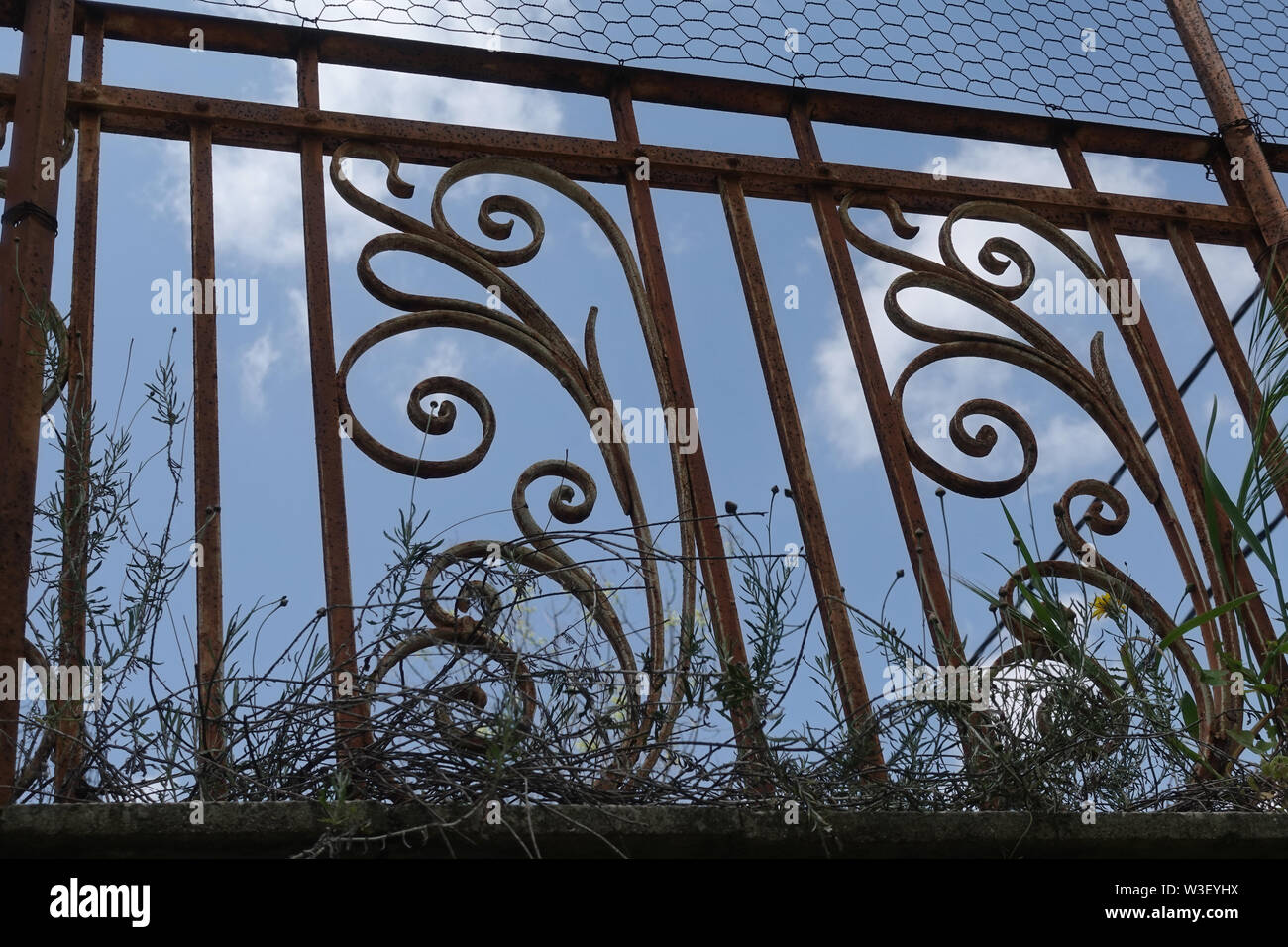 Vintage ringhiera di balcone con fiori che crescono attraverso rusty motivo floreale. Casa abbandonata esterni architettonici detal. Foto Stock