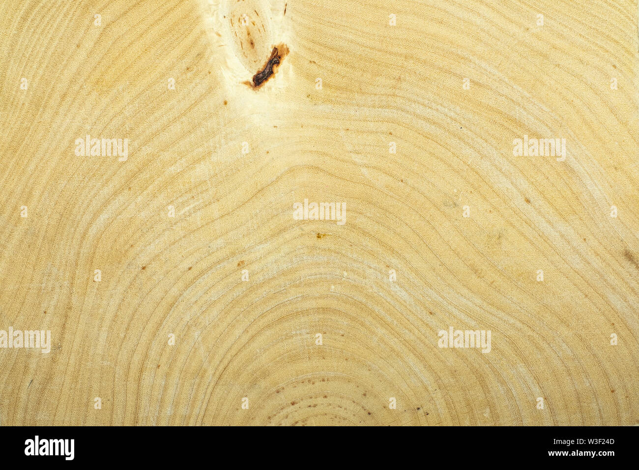 Anello annuale tamarind legno per texture di sfondo Foto Stock