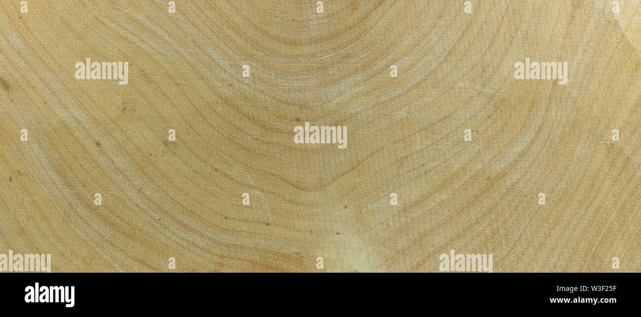 Anello annuale tamarind legno per texture di sfondo Foto Stock