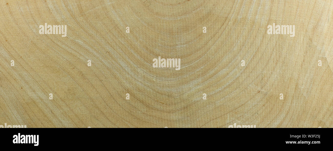 Anello annuale tamarind legno per texture di sfondo Foto Stock