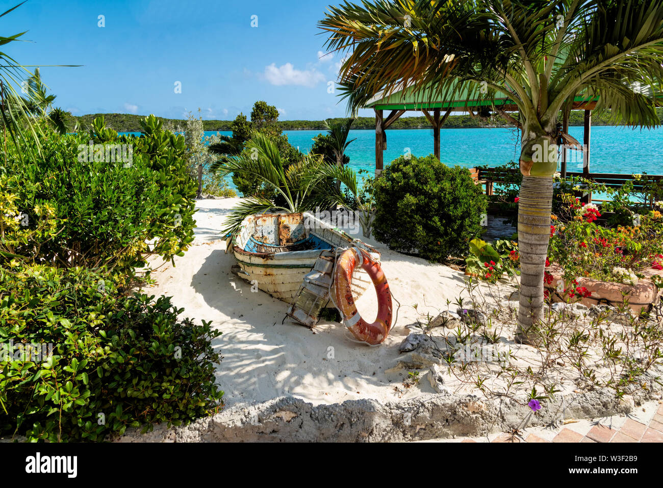 Cordato in paradiso Foto Stock