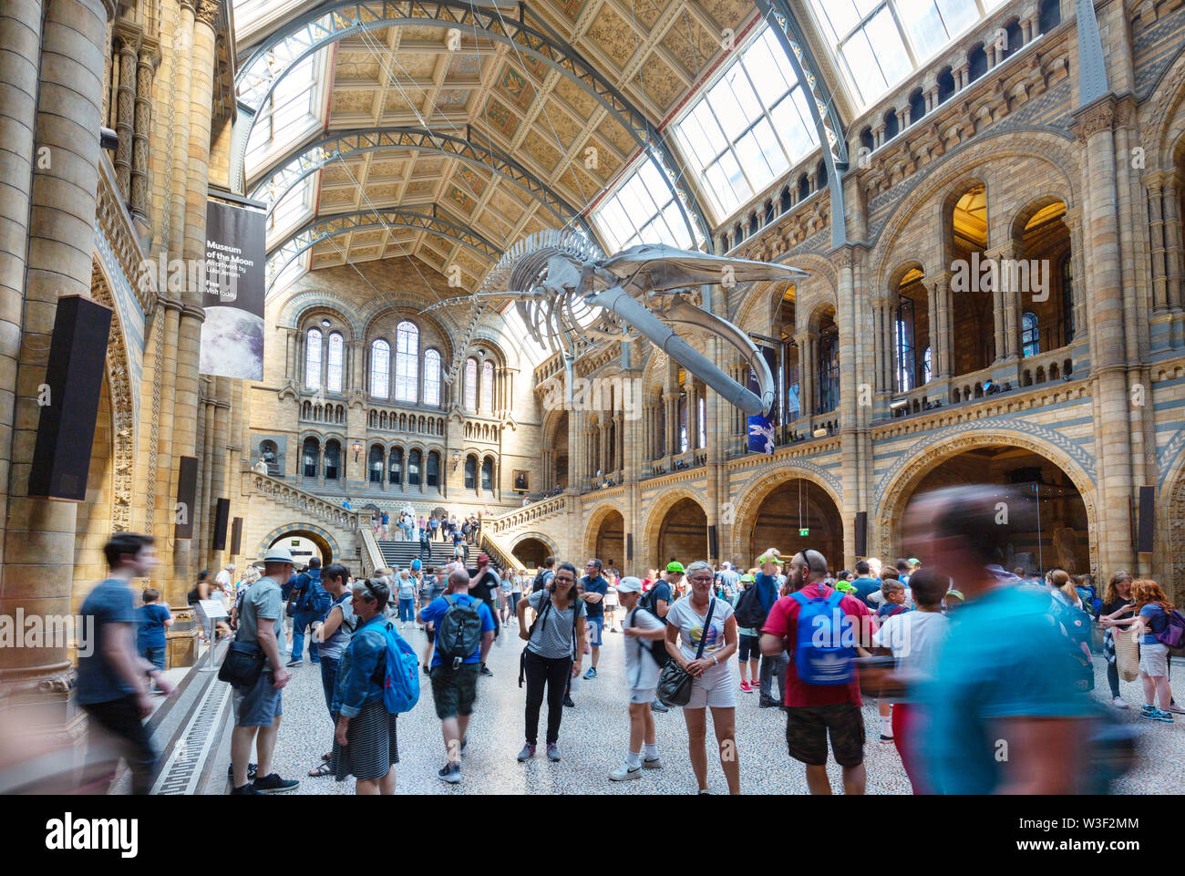 Museo di Storia Naturale di Londra interno; le persone nella sala principale (Hintze Hall) sotto il blu di scheletro di balena, South Kensington London REGNO UNITO Foto Stock