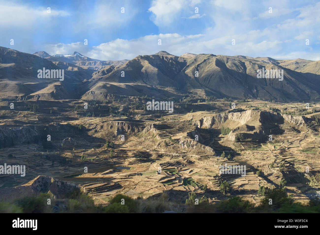 Paesaggio terrazzato sopra il Canyon del Colca, Chivay, Perù Foto Stock