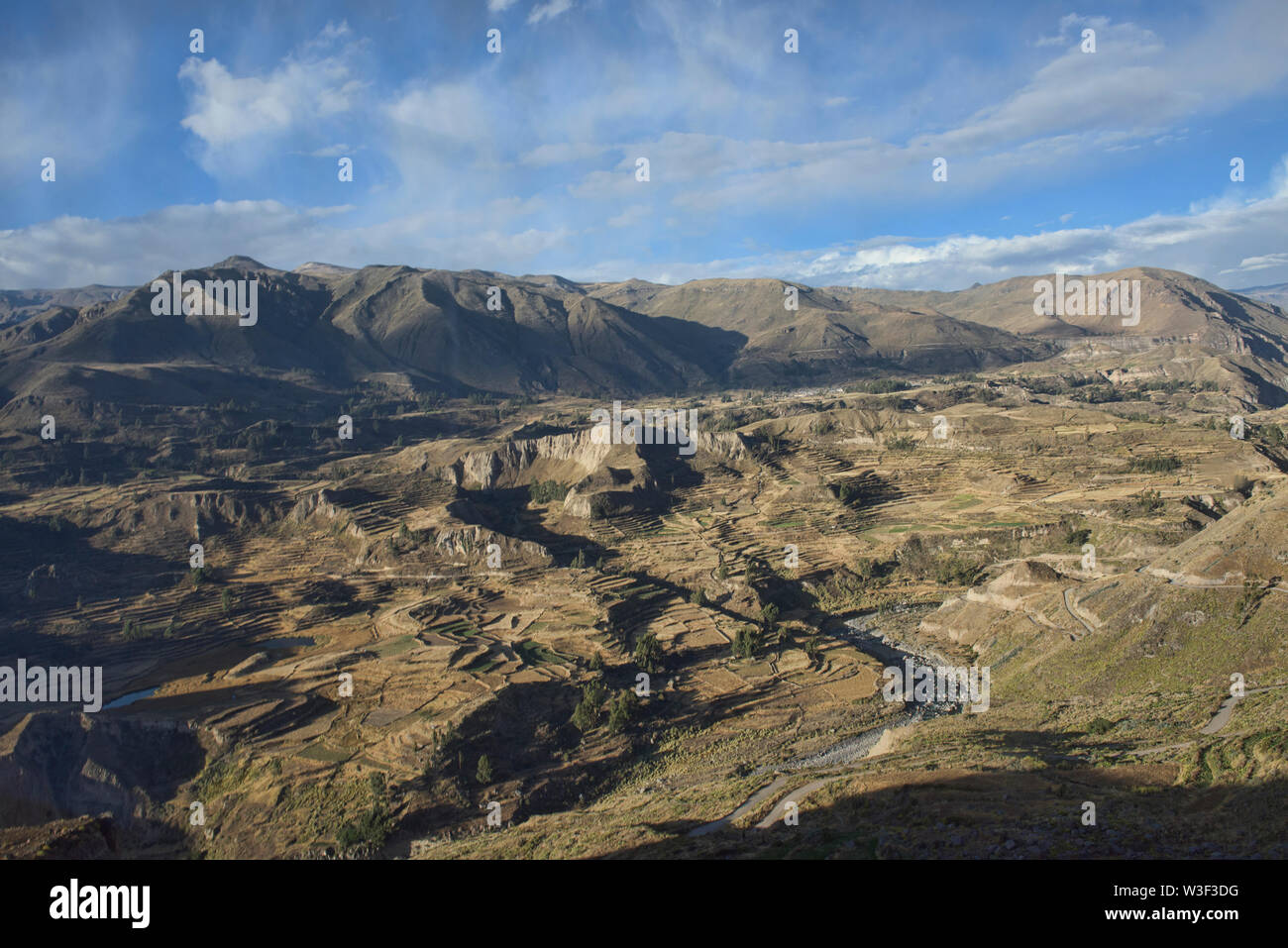Paesaggio terrazzato sopra il Canyon del Colca, Chivay, Perù Foto Stock