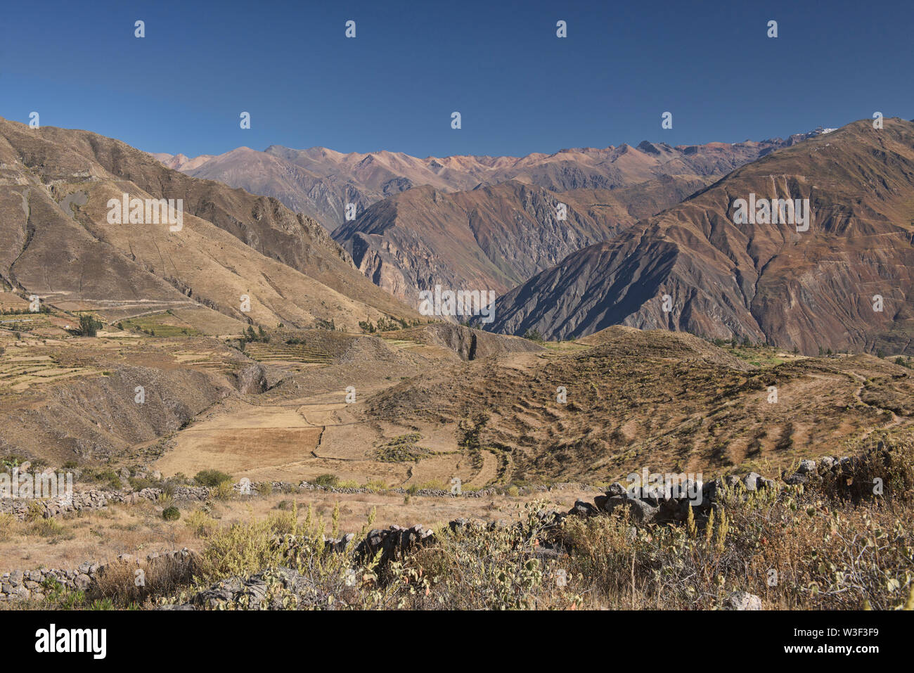 Paesaggio terrazzato sopra il Canyon del Colca, Chivay, Perù Foto Stock