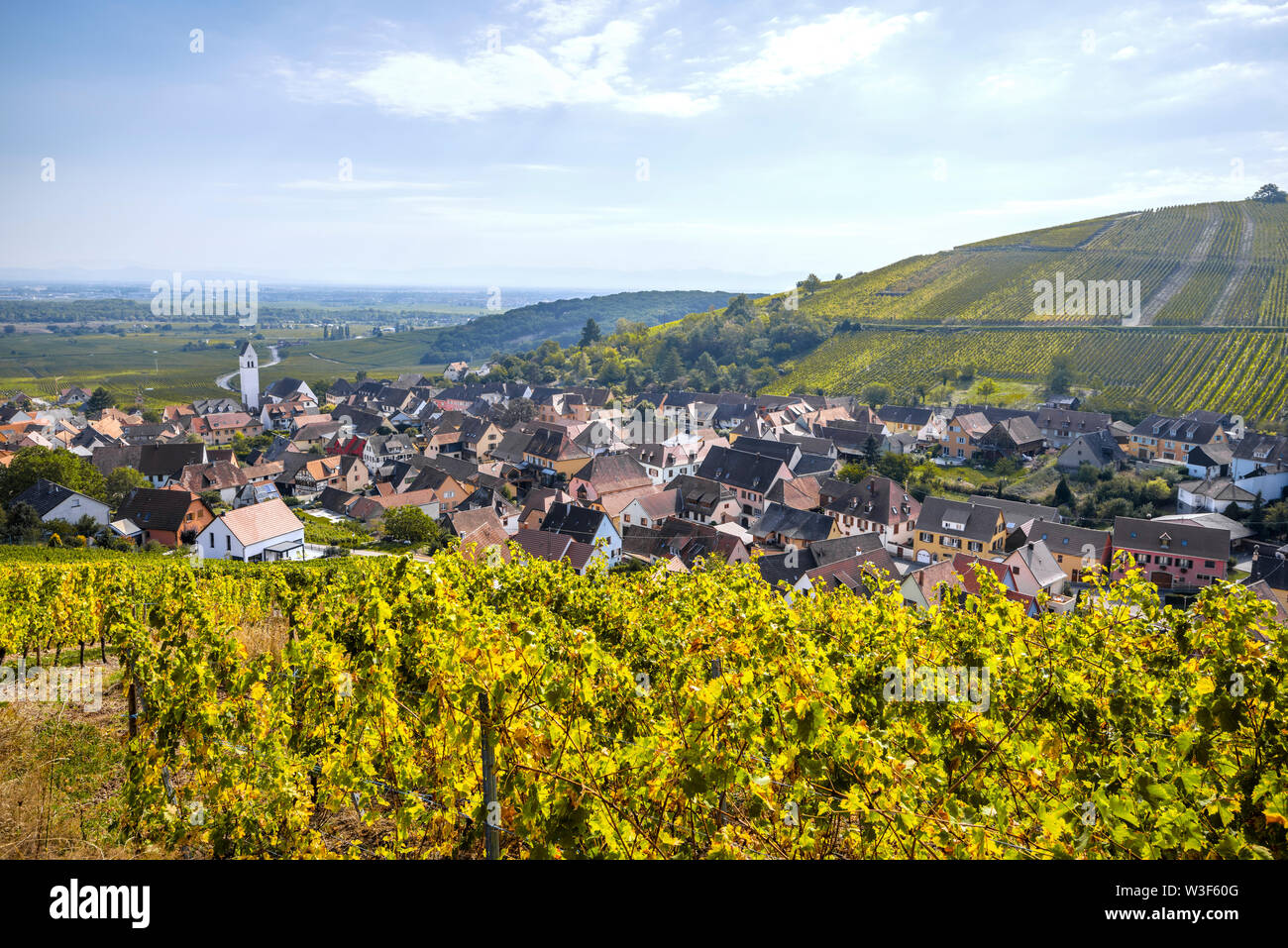 Villaggio Katzenthal tra vigneti, Alsazia, Francia, posizione dell'Alsazia strada del vino Foto Stock