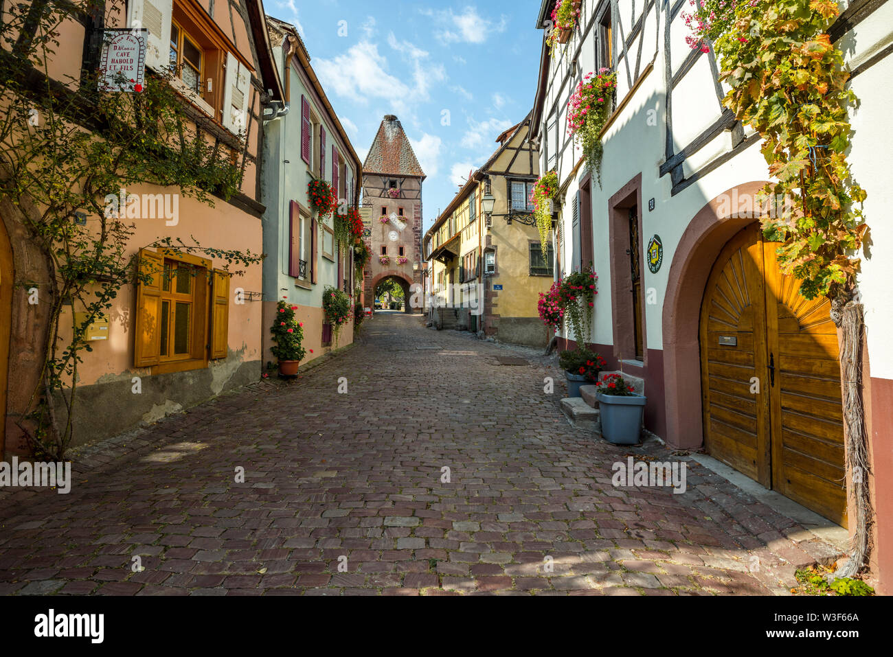 Corsia del villaggio di telaio Ammerschwihr, Alsazia, Francia, vino vecchio villaggio con town gate e la torre Foto Stock