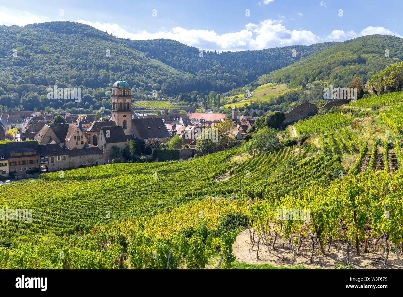 Città Kaysersberg nel mezzo di vigneti, Alsazia strada del vino, Francia, colline ai piedi delle montagne Vosges Foto Stock